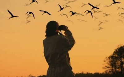 Exploring the Scenic Beauty of Badkhal Lake