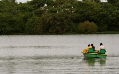 Exploring the Diverse Activities to do on Badkhal Lake