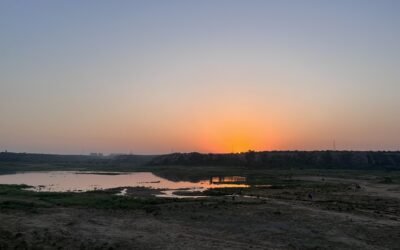 Badkhal Lake Faridabad Photos: Capturing the Beauty of Badkhal Lake