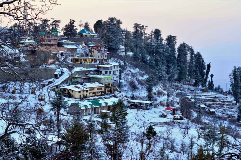 Cheog Shimla