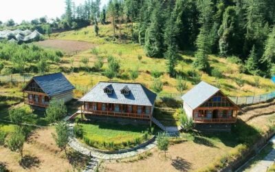 Discovering the Enchanting Beauty of Cheog Shimla