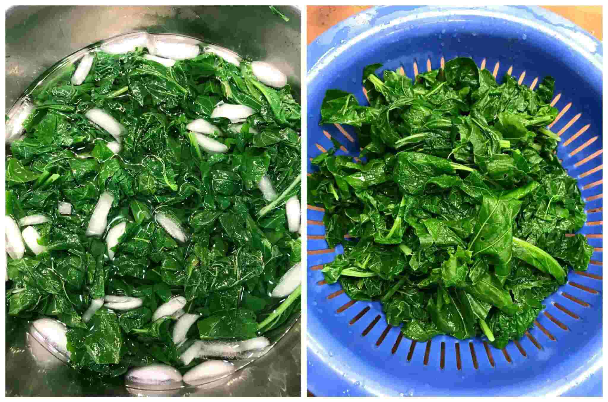 Freeze Mustard Greens_3 Freeze Mustard Greens