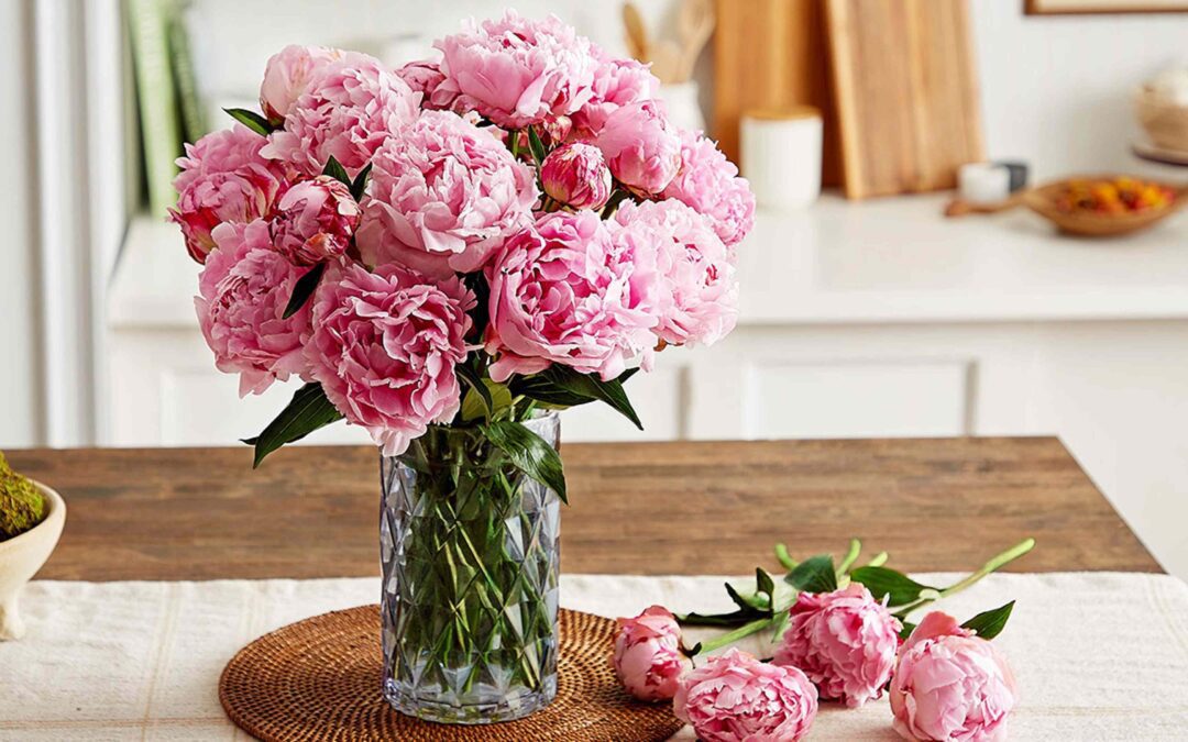 Ranunculus flower vs Peonies flower: What’s the Difference?