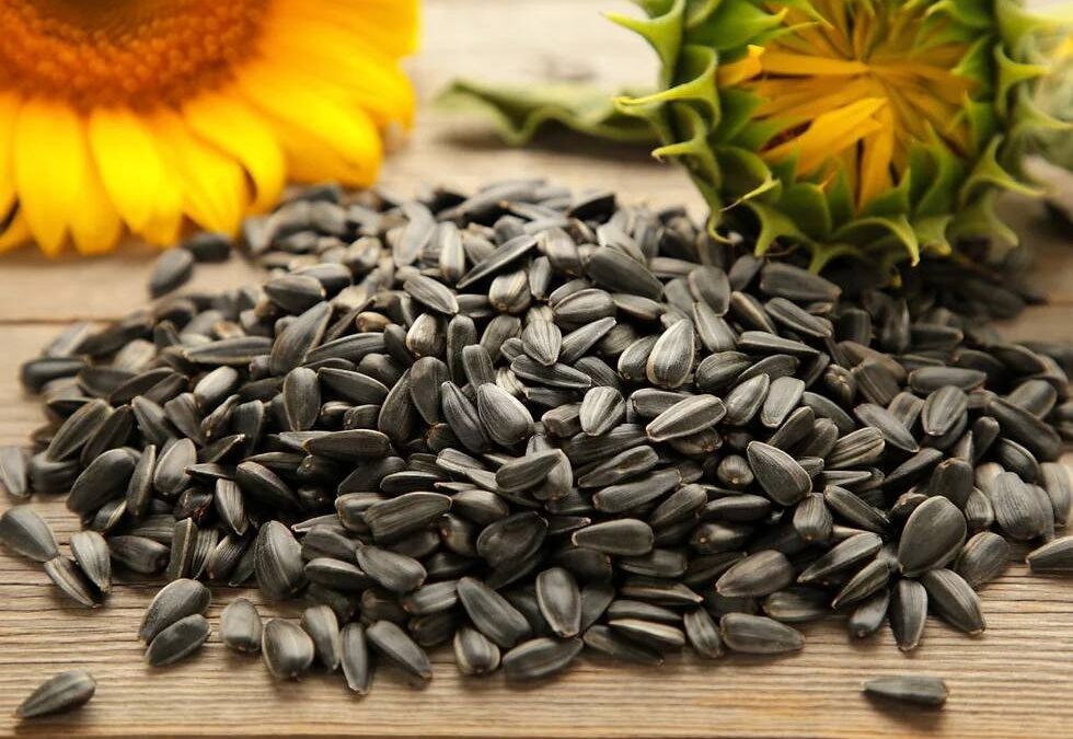 The Health Benefits of Sunflower Seeds for Men: A Comprehensive Guide