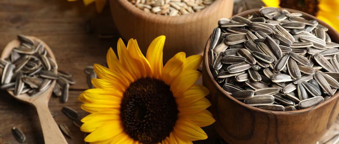 The Incredible Health Benefits of Sunflower Seeds for Women