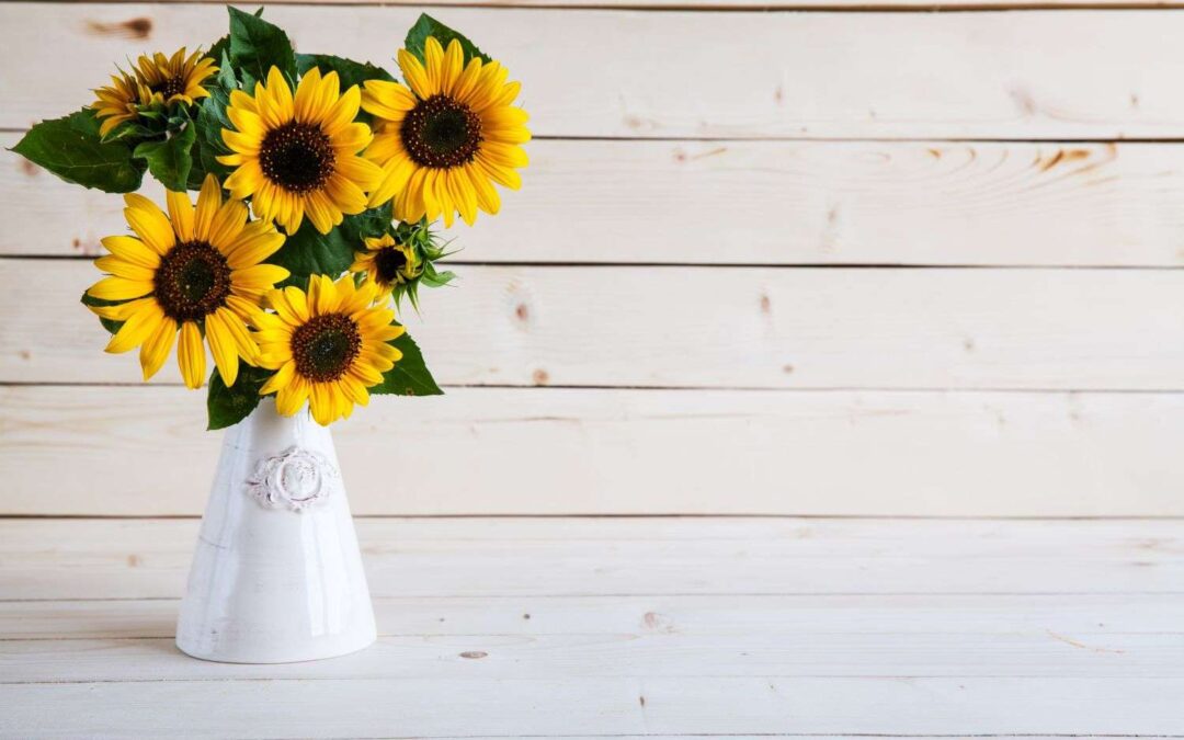 How to Care for Sunflowers in a Vase: Simple Tips