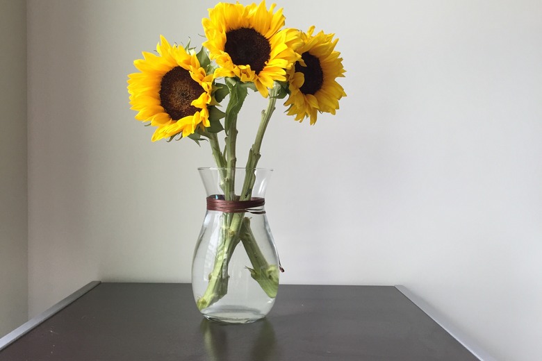 Sunflowers in a Vase