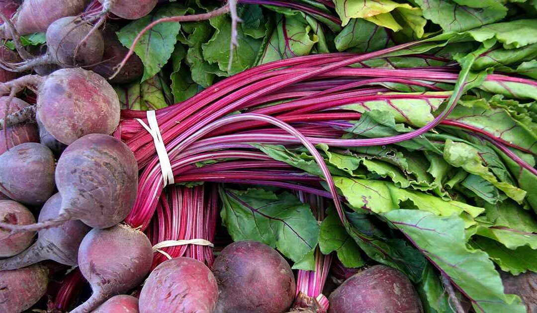 Are Beetroot Leaves Poisonous? Exploring Safety & Uses