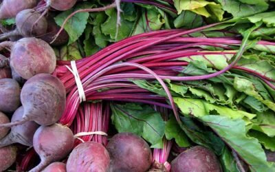 Are Beetroot Leaves Poisonous? Exploring Safety & Uses