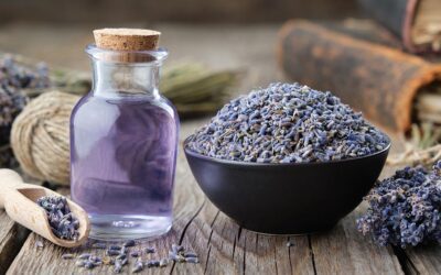Bulgarian vs English vs French Lavender Essential Oils