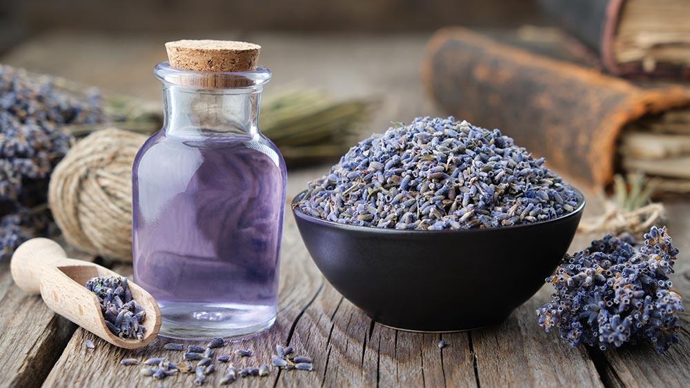 Lavender Essential Oils_1 Lavender Essential Oils