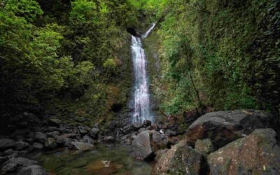 Lulumahu Falls Honolulu HI: Hiking, Permits, and More