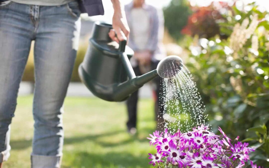 Worst Time to Water Plants: Avoiding Common Mistakes