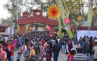 Food Festivals and Events in Faridabad: A Simple Guide
