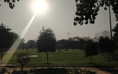 Top 10 Parks and Gardens in Faridabad