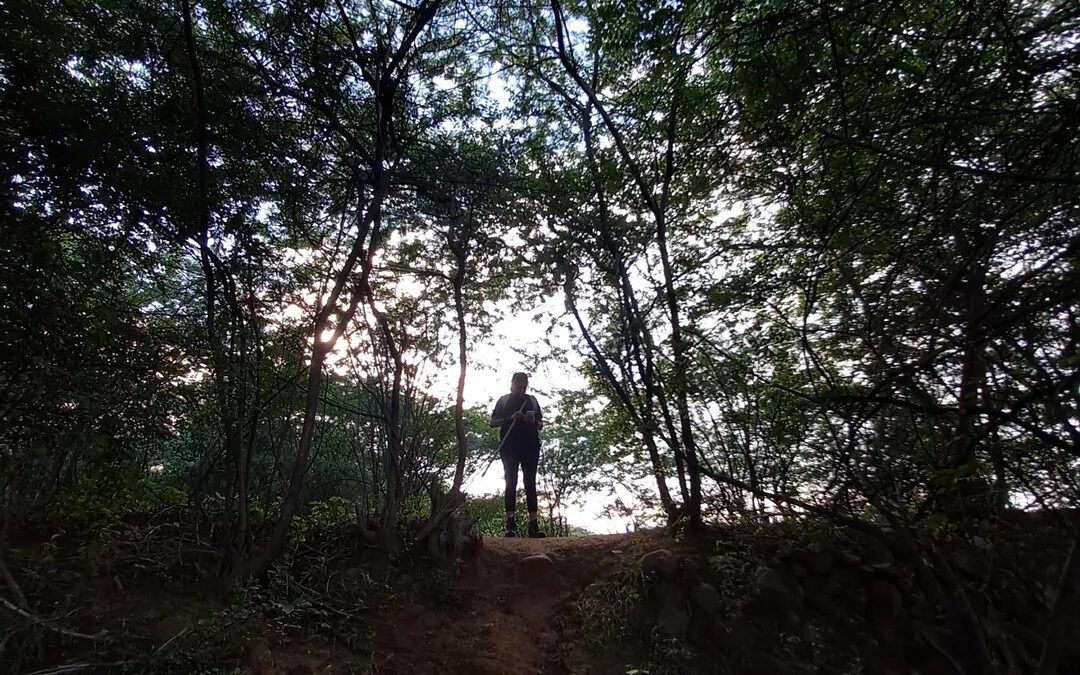 Running & Walking Tracks Loved by Locals in Faridabad