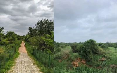 Cycling and Walking Trails in Gurgaon and Faridabad