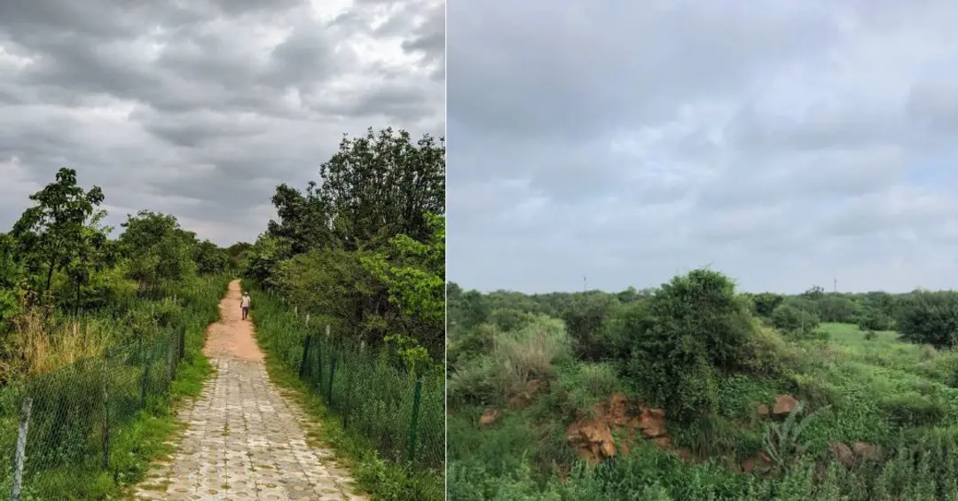 Cycling and Walking Trails in Gurgaon and Faridabad