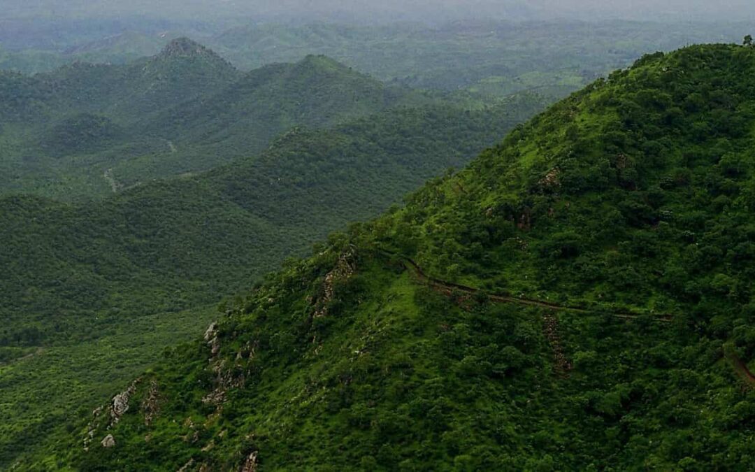 Escaping to the Aravalli Hills, Lakes Around Delhi