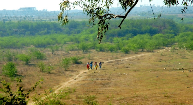 Badkhal Lake Beautification