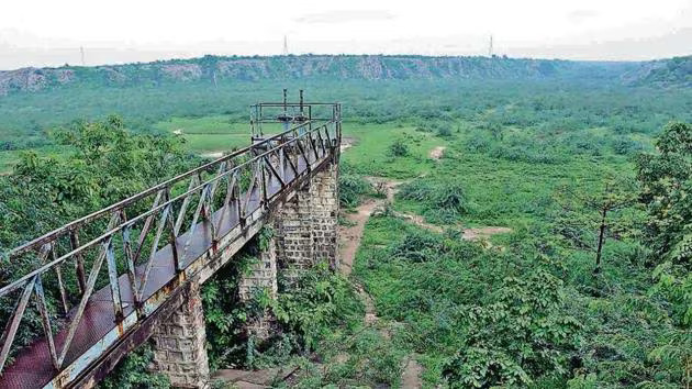 Ecological Importance