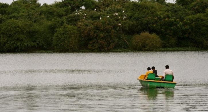 Ecological Importance