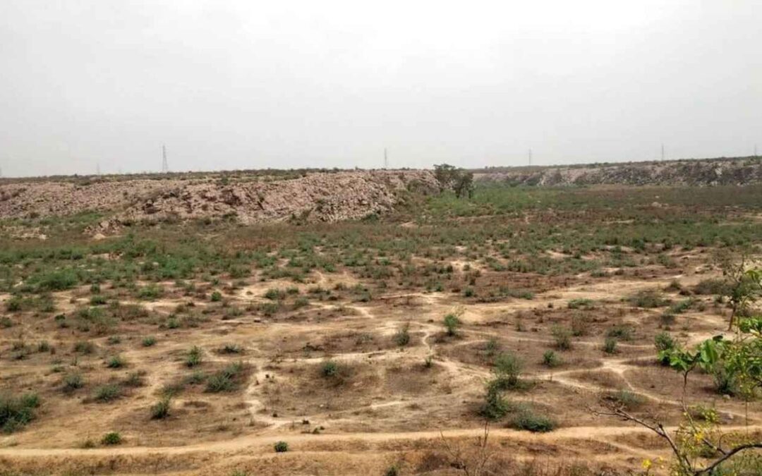 Ecological Importance of Badkhal Lake in NCR’s Green Belt