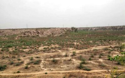 Ecological Importance of Badkhal Lake in NCR’s Green Belt