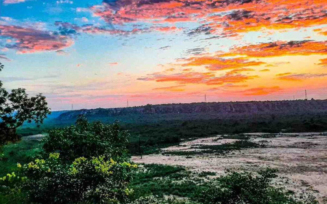 Why Delhi-NCR Families Should Revisit Badkhal Lake