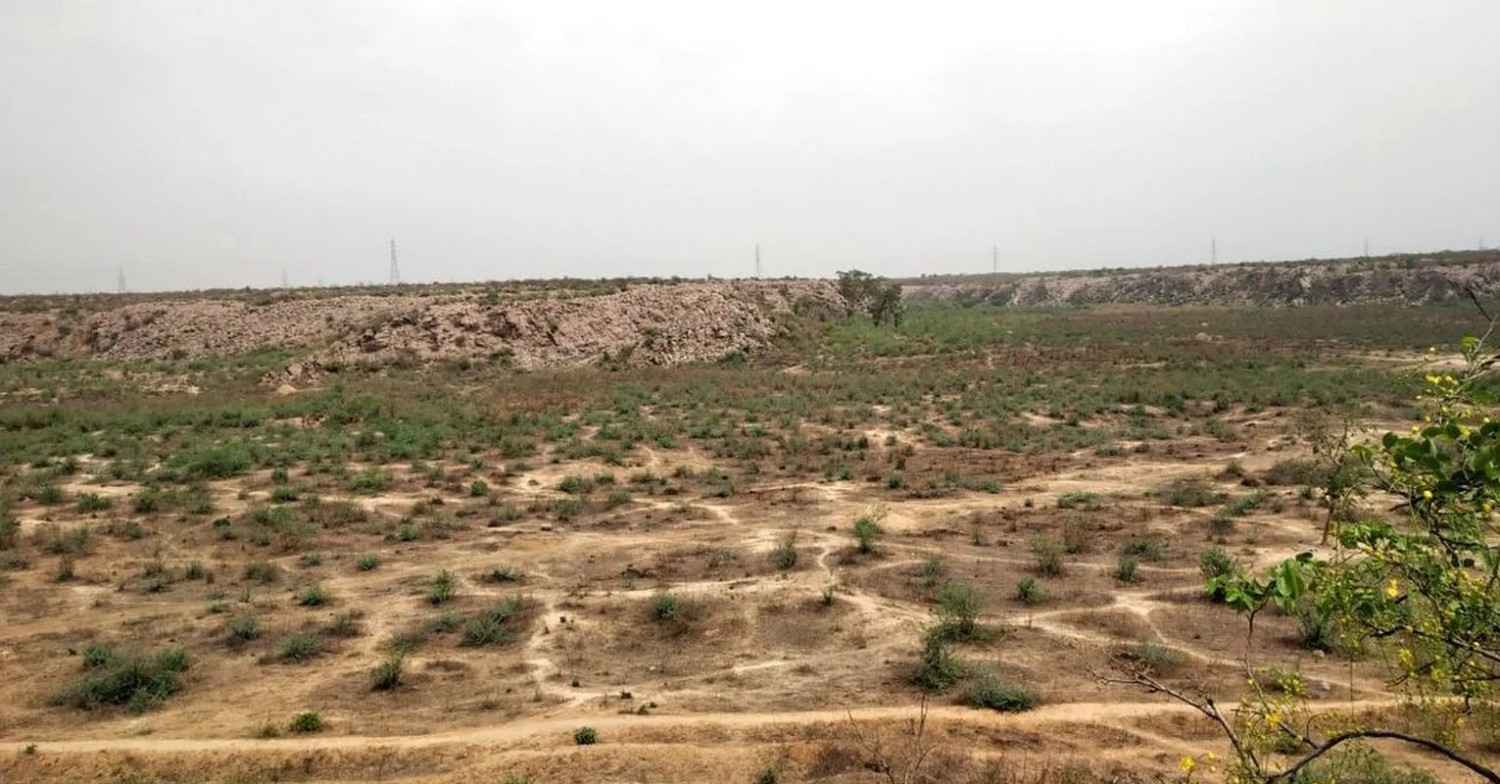 Aravalis and Badkhal Lake