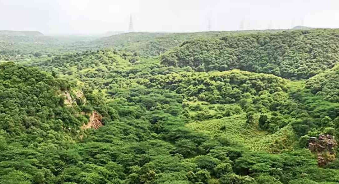 The Aravalis and Badkhal Lake: Protecting NCR Natural Green