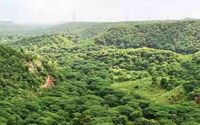 The Aravalis and Badkhal Lake: Protecting NCR Natural Green