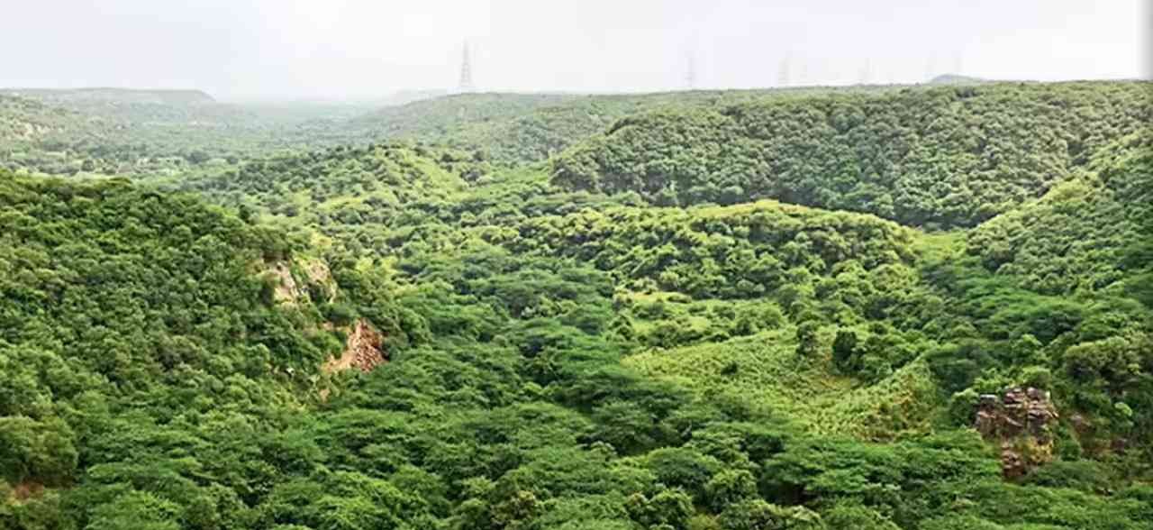 Aravalis and Badkhal Lake_3 Aravalis and Badkhal Lake